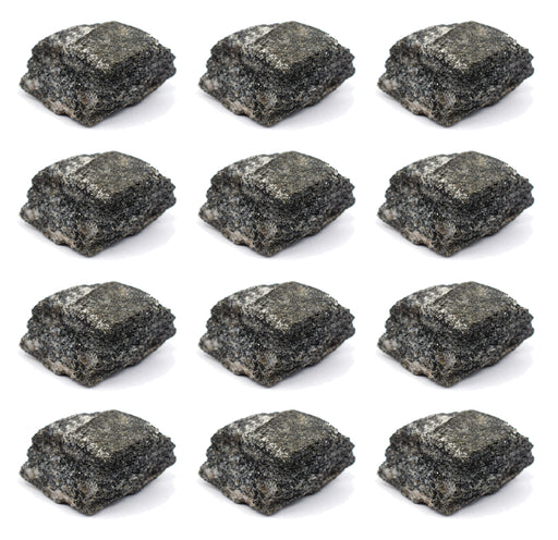 12PK Biotite Gneiss Rock Specimen, 1" - Geologist Selected Samples - Eisco Labs