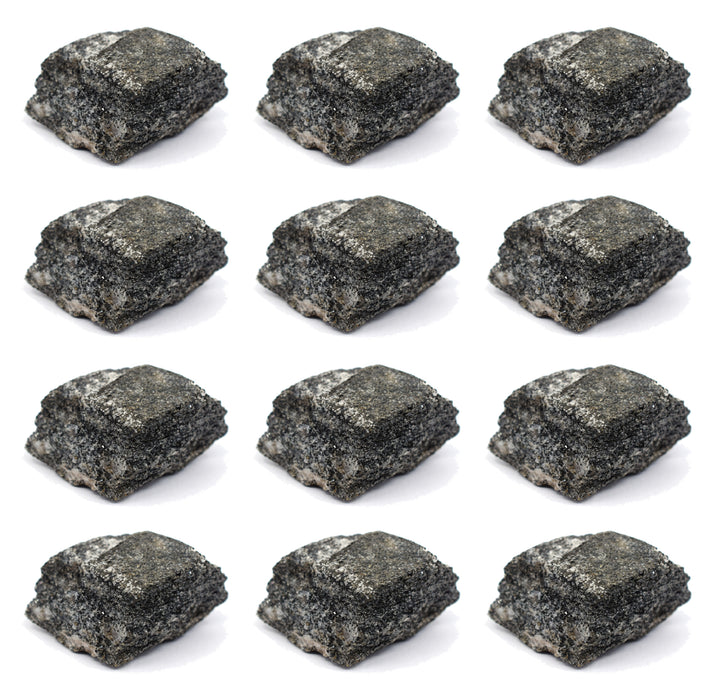 12PK Biotite Gneiss Rock Specimen, 1" - Geologist Selected Samples - Eisco Labs