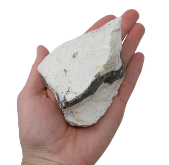 Raw Chert Mineral Specimen Hand Sample Approx 3 Eisco Labs Raw Chert Mineral Specimen Hand Sample Approx 3 Eisco Labs