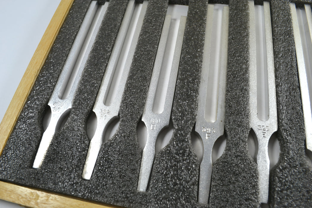 Eisco Labs 13 Piece Aluminum Tuning Fork Set in Wooden Case