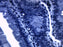 Cellular Organelle: Mitochondria - Prepared Microscope Slide - 75x25mm