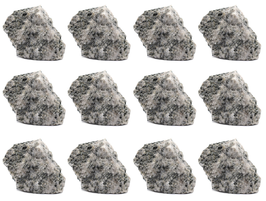 12PK Raw Porphyritic Granite, 1" - Geologist Selected Samples - Eisco Labs