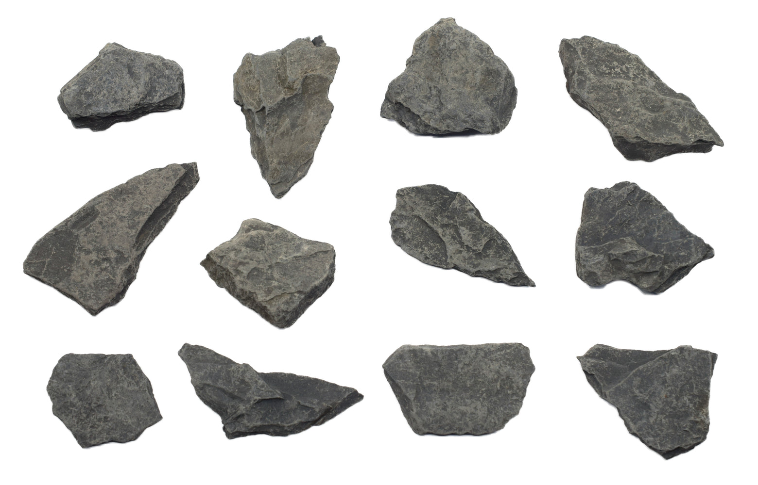 Carbonitious Rocks 12 Pack - Raw Carbonaceous Shale, Sedimentary Rock Specimens - Approx ...