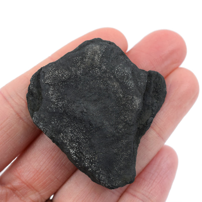 12 Pack - Raw Anthracite Coal, Metamorphic Rock Specimens - Approx. 1"