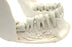 Lower Jaw Model, 16 Extractable Teeth - Anatomically Accurate