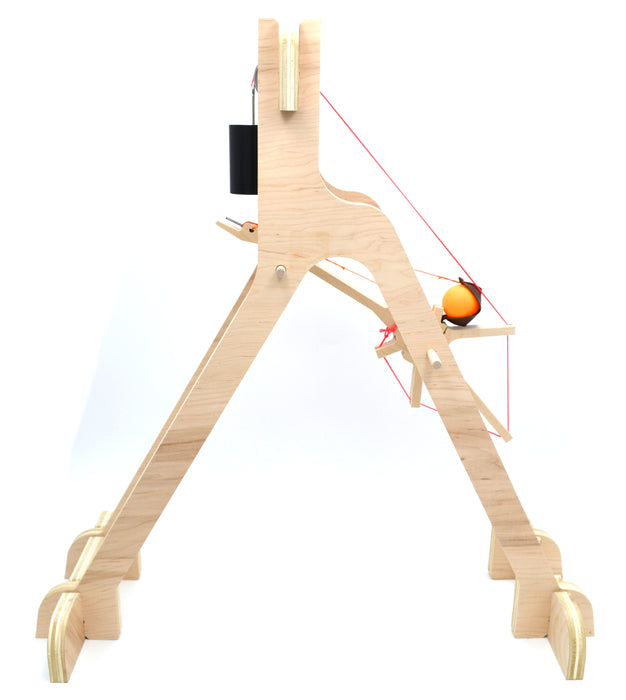Eisco Garage Physics MURLIN Trebuchet Kit