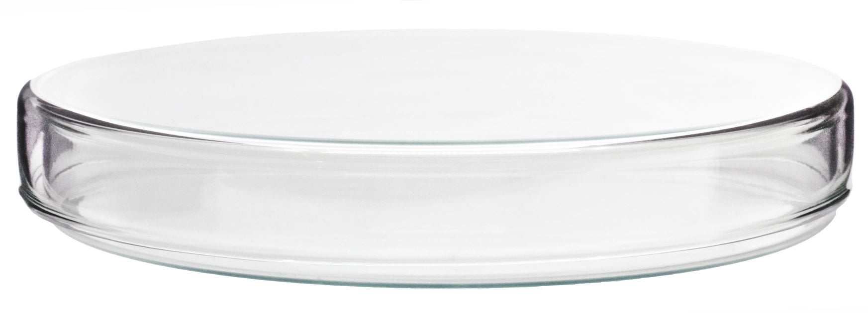 Petri Dish - 180 x 30mm - Soda Glass (Discontinued) — Eisco Labs