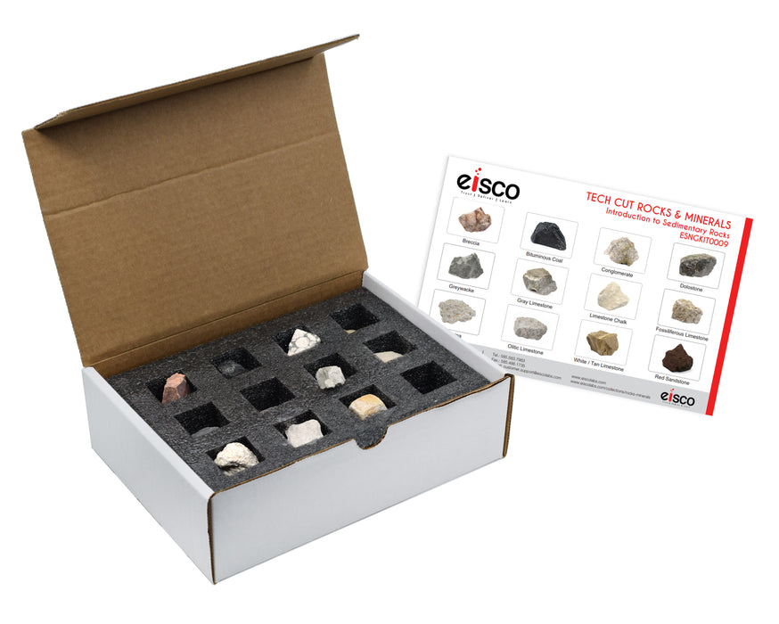 Introduction to Sedimentary Rocks  Kit, 12 Specimens - Includes Storage Box and Identification Card