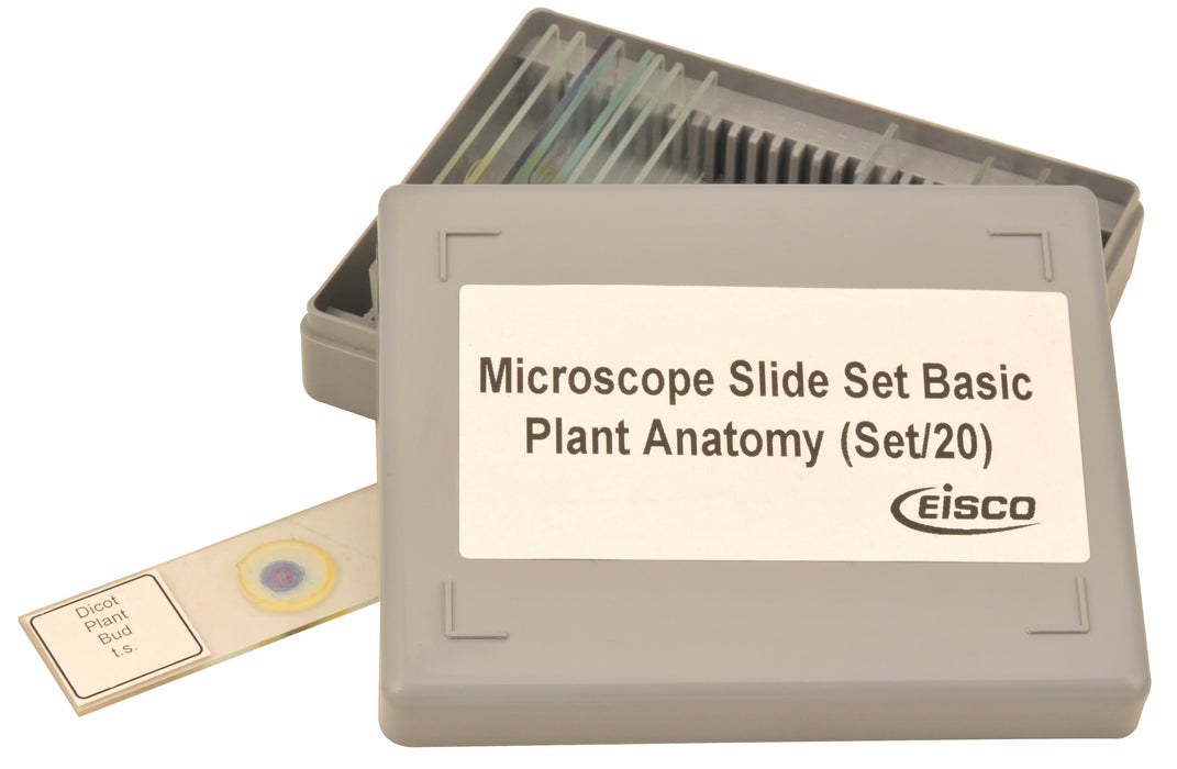 Plant Anatomy Microscope Slide Set - 20 Slides in Plastic Storage Box
