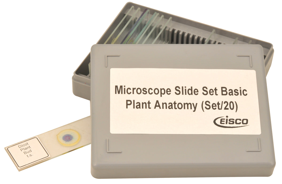 Anatomy Microscope Slides