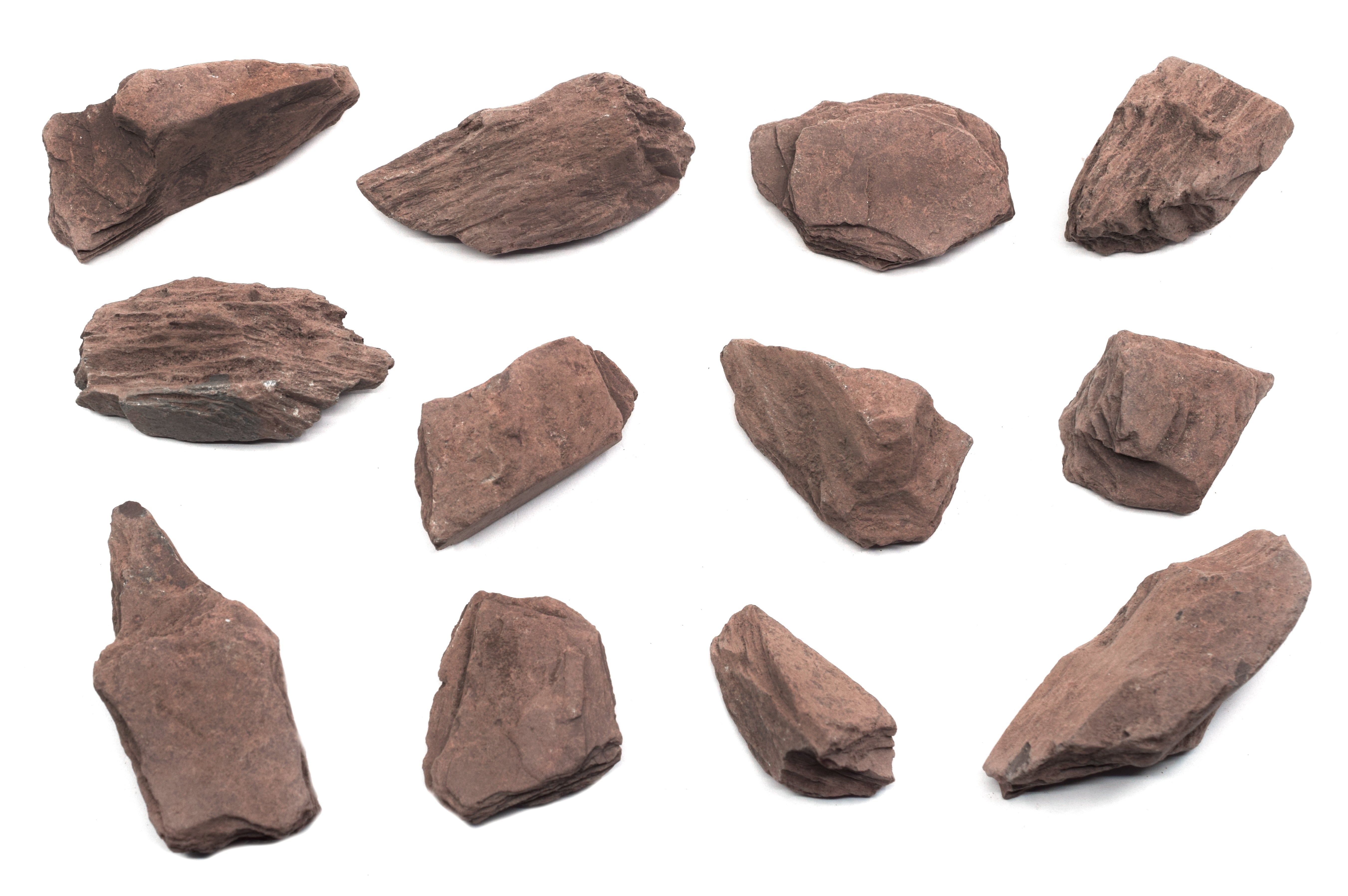 12PK Raw Mica Schist Rock Specimens - 1 Inch Metamorphic Rocks For Geology Class & Education