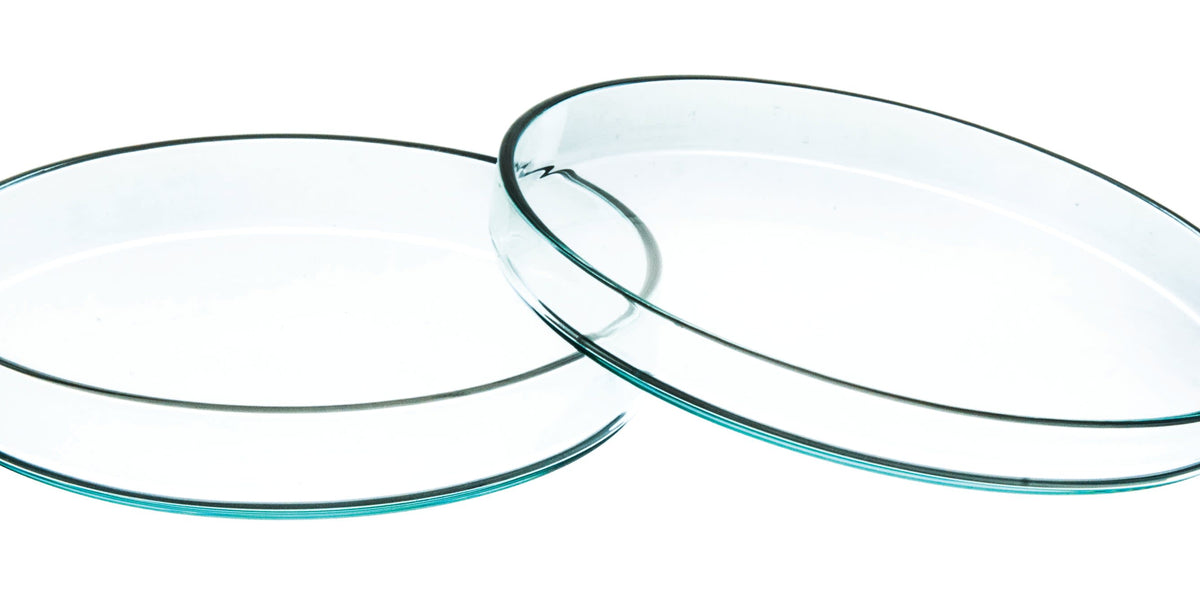 jsu6zesseytrjc5upjqk_1200x600_