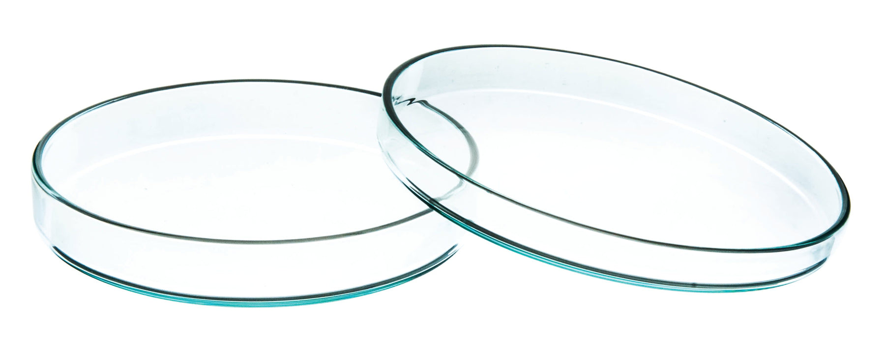 Petri Dish - 75 x 11mm - Soda Glass