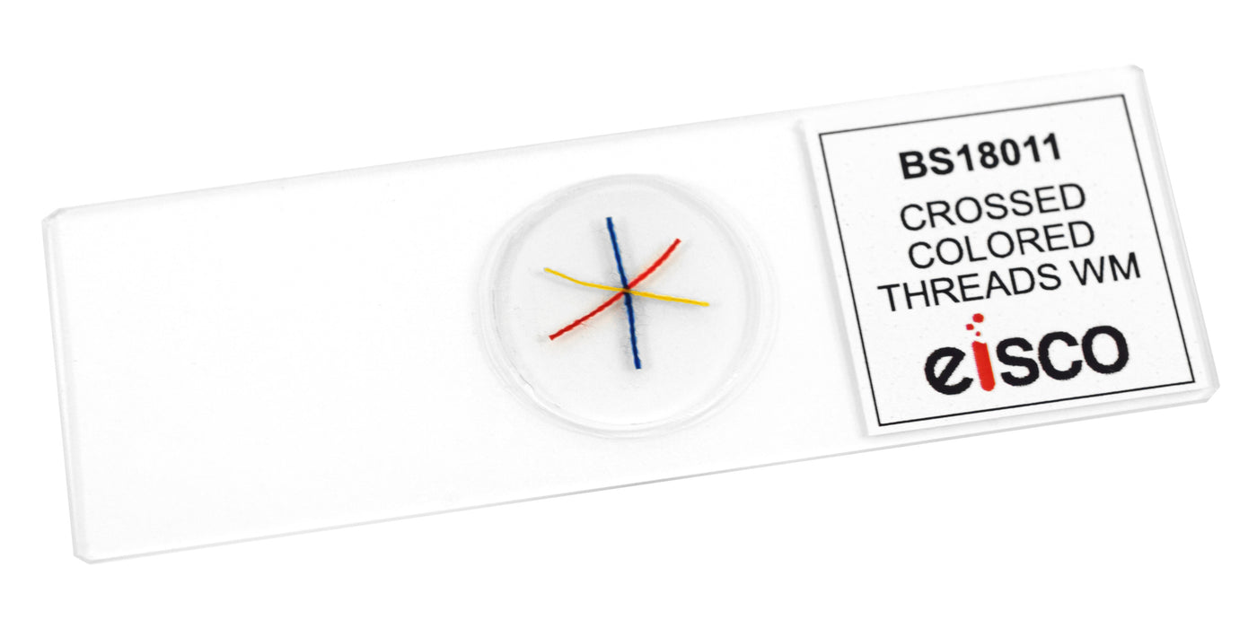 Crossed, Colored Threads - Prepared Microscope Slide - 75x25mm — Eisco Labs