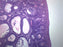 Female Ovary - Prepared Microscope Slide - 75x25mm