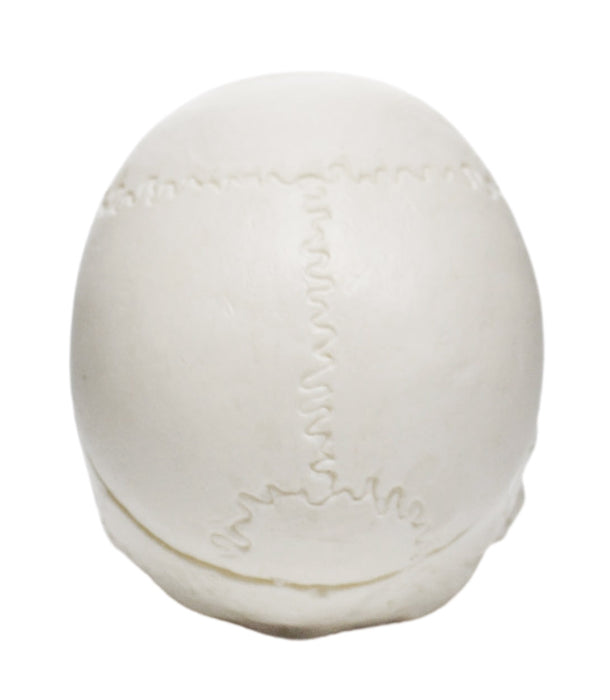 Miniature Human Adult Skull Model, 3 Part - Medical Quality Anatomical Replica - 2.5" Height - Removable Skull Cap, Shows Most Major Foramen, Fossa, and Canals - Articulated Mandible - Eisco Labs