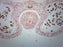 Lilium Anther - Cross Section - Prepared Microscope Slide - 75x25mm