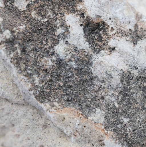 Raw Volcanic Tuff, Igneous Rock Specimen - Hand Sample - Approx. 3"