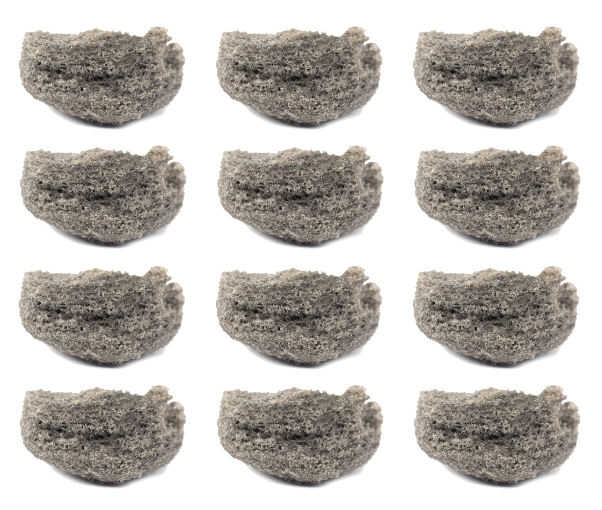 12PK Raw Pumice Rock Specimens, 1" - Geologist Selected Samples - Eisco Labs