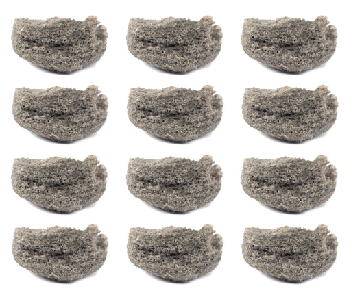 12PK Raw Pumice Rock Specimens, 1" - Geologist Selected Samples - Eisco Labs