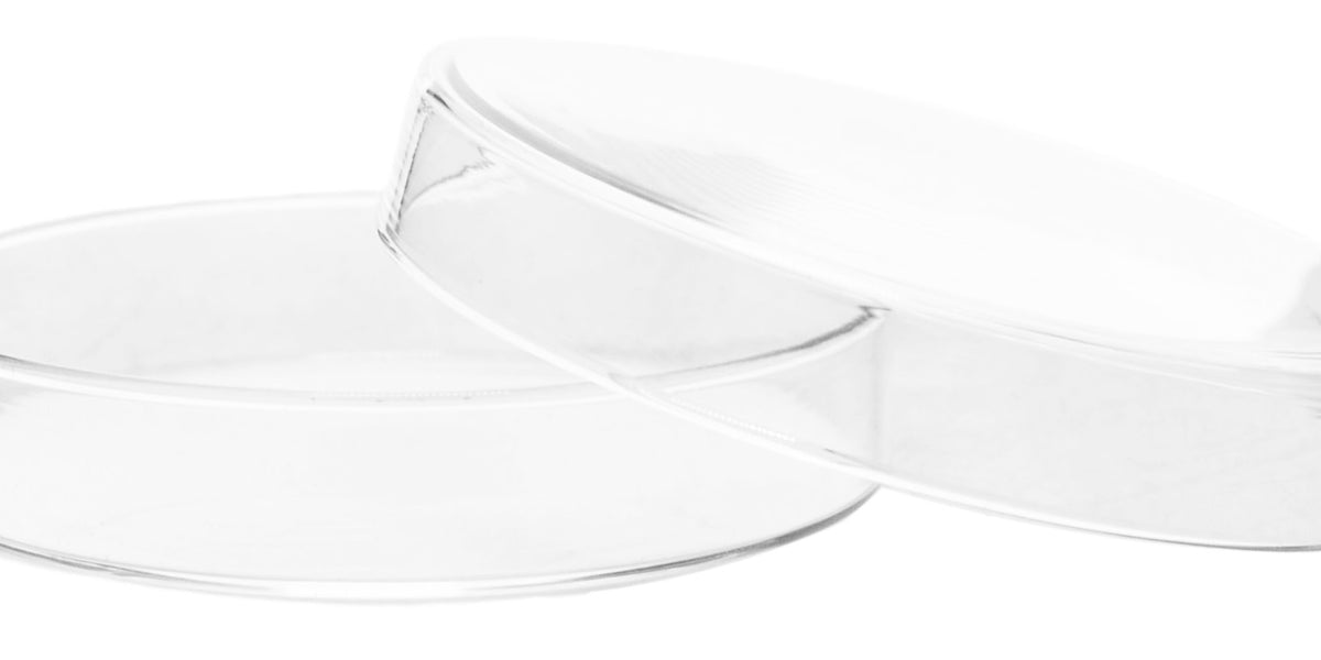 Petri Dish - 90 x 15mm - Soda Glass — Eisco Labs