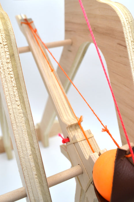 Eisco Garage Physics MURLIN Trebuchet Kit