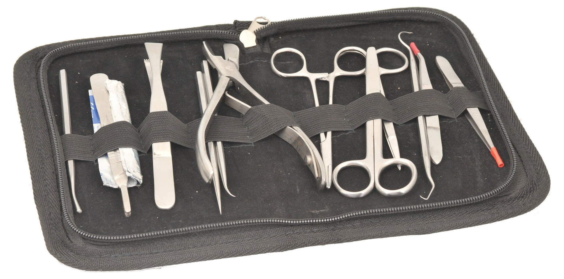 Dissection Set, Instructor, 12 Pcs - Stainless Steel - Leather Storage Case