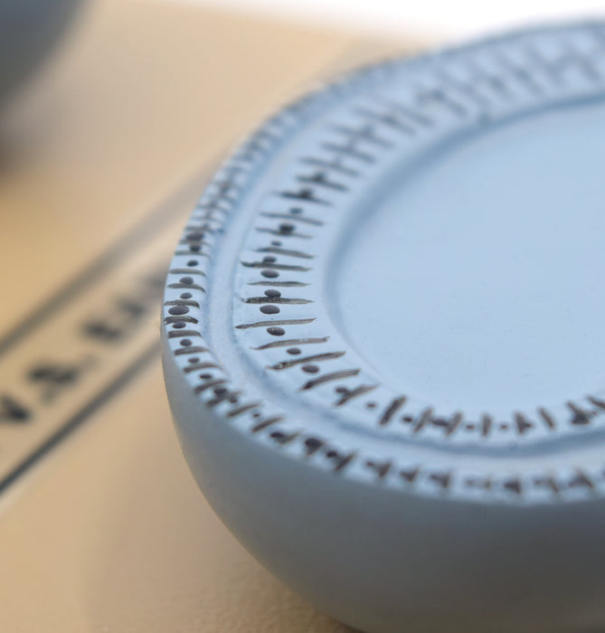 Amphioxus Embryonic Stages Model - Three Dimensional with Hand Painted Details - Mounted on Base, 10" x 9" - Eisco Labs