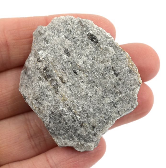 12PK Raw Mica Schist, Metamorphic Rock Specimens - Approx. 1" - Geologist Selected & Hand Processed - Great for Science Classrooms - Class Pack - Eisco Labs