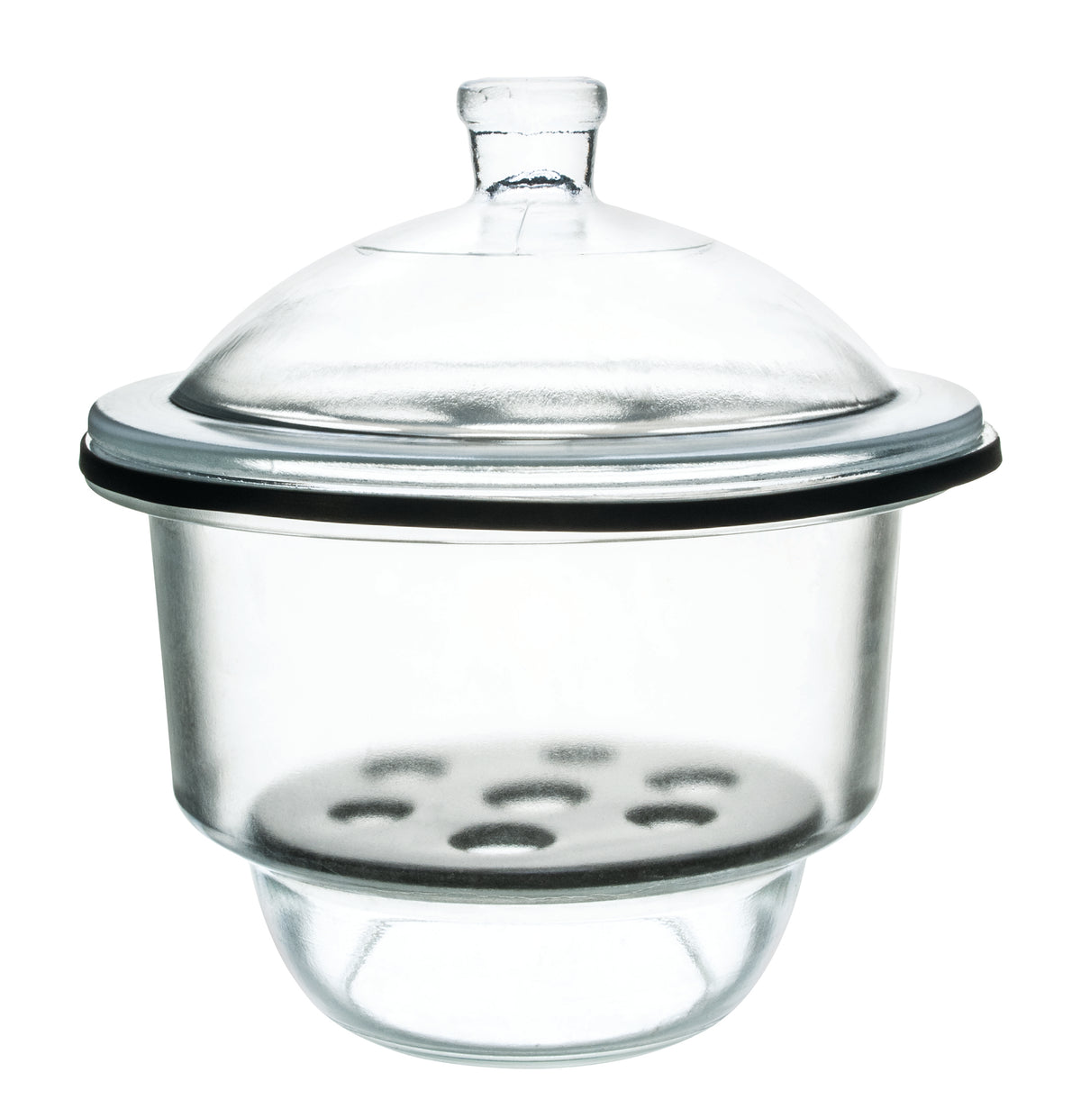 Desiccator with Knob Cover - 25cm (9.8