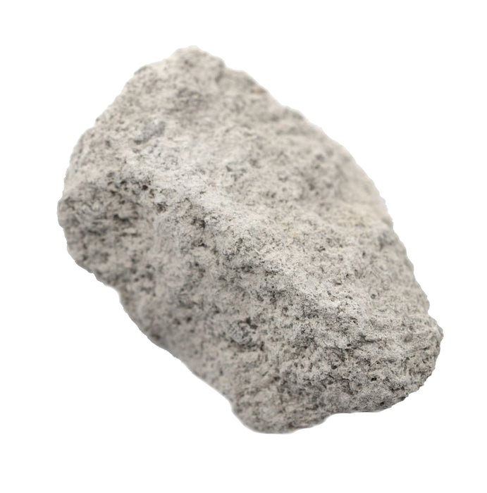 12 Pack - Oolitic Limestone, Sedimentary Rock Specimens - Approx. 1"