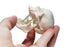 Miniature Human Adult Skull Model, 3 Part - Medical Quality Anatomical Replica - 2.5" Height - Removable Skull Cap, Shows Most Major Foramen, Fossa, and Canals - Articulated Mandible - Eisco Labs