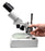 Stereoscopic Microscope - Binocular Head Inclined at 45 Degrees, Fitted with Adjustable Pillar, Cover Included - Eisco Labs