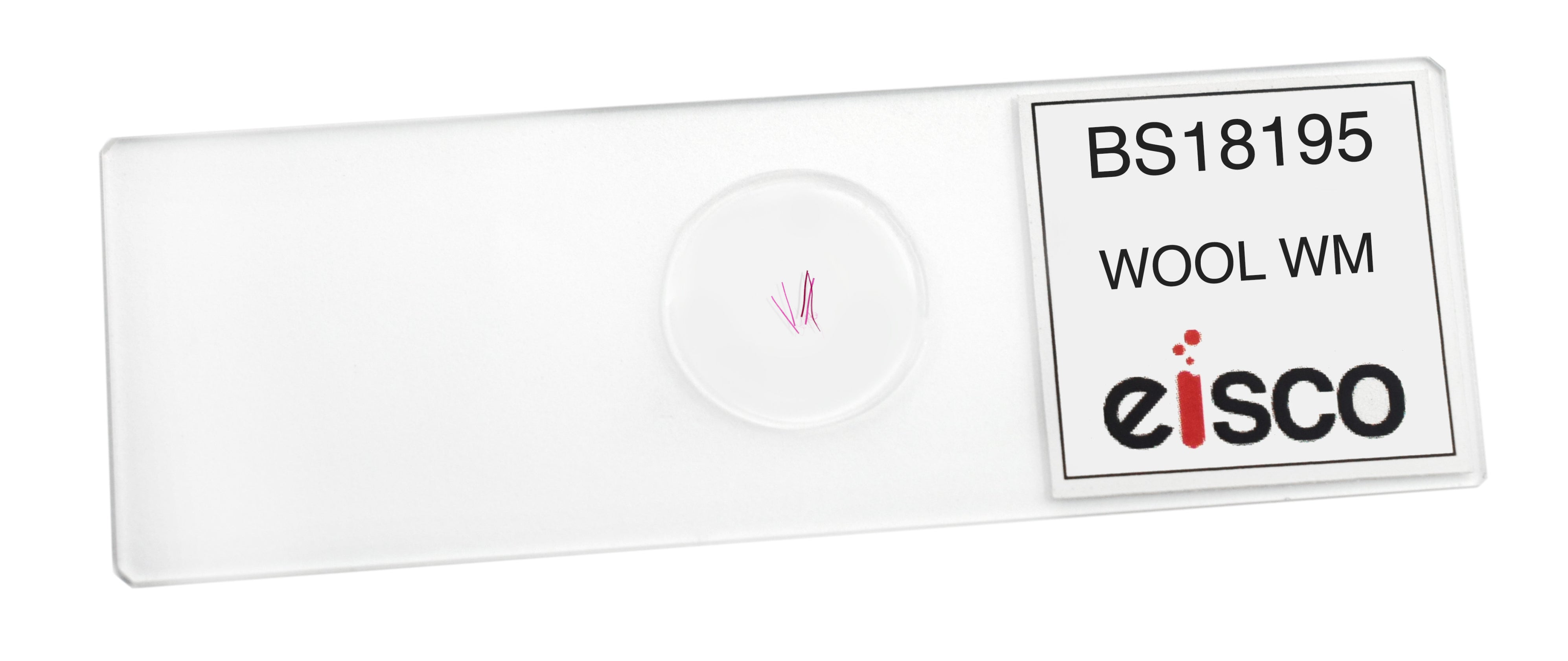 Wool Microscope Slides Wool - Prepared Microscope Slide - 75x25mm — Eisco Labs