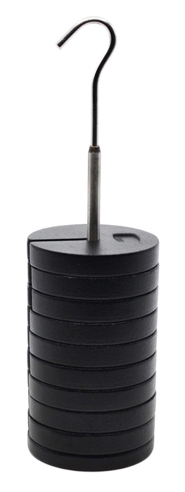 10 Piece Slotted Mass Set, 1000g - Zinc Casted - Includes 9 weights (100g  each), one hanger (100g) - Eisco Labs