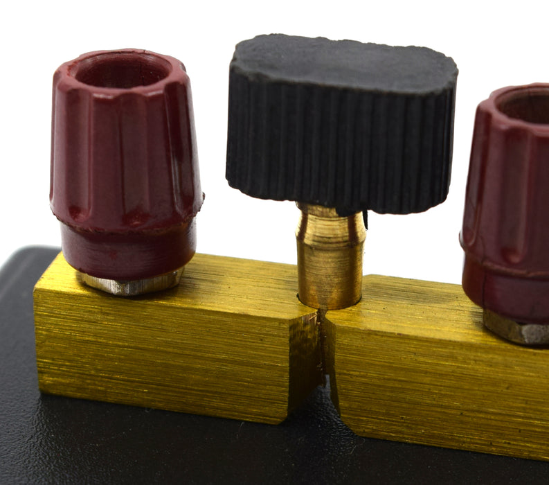 Two Way Copper Plug Key Switch, 4mm Terminals with 2 Removable Plugs - Eisco Labs