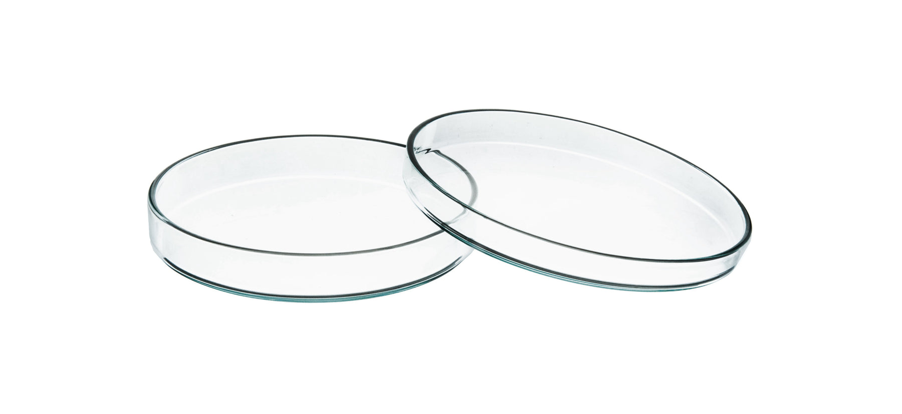Petri Dish - 50 x 11mm - Soda Glass
