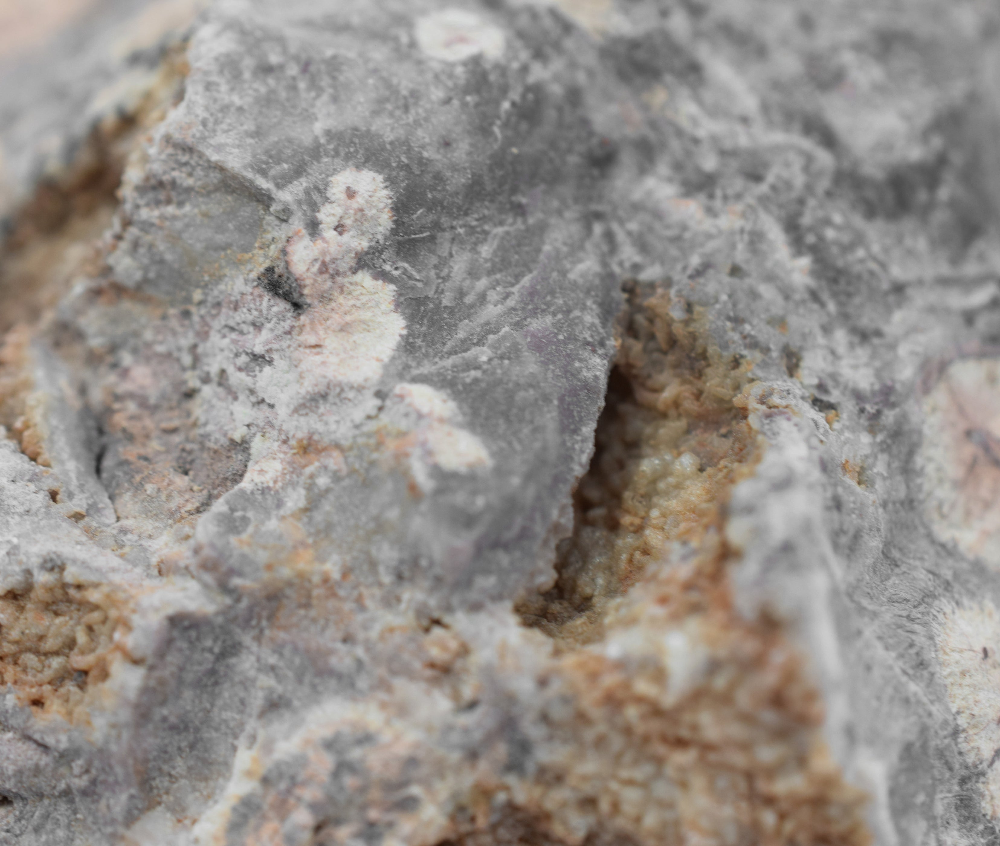 Raw Rhyolite, Igneous Rock Specimen - Hand Sample - Approx. 3