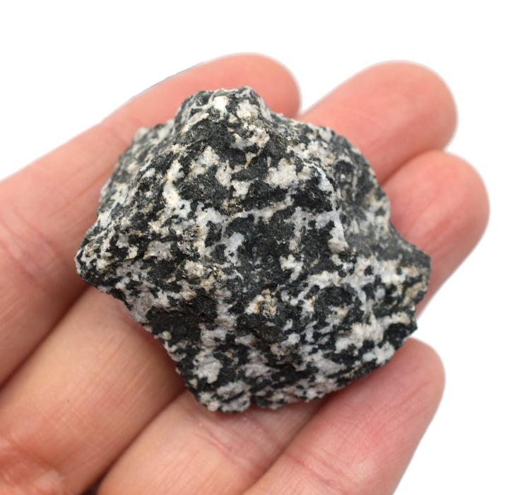Raw Diorite, Igneous Rock Specimen - Approx. 1"