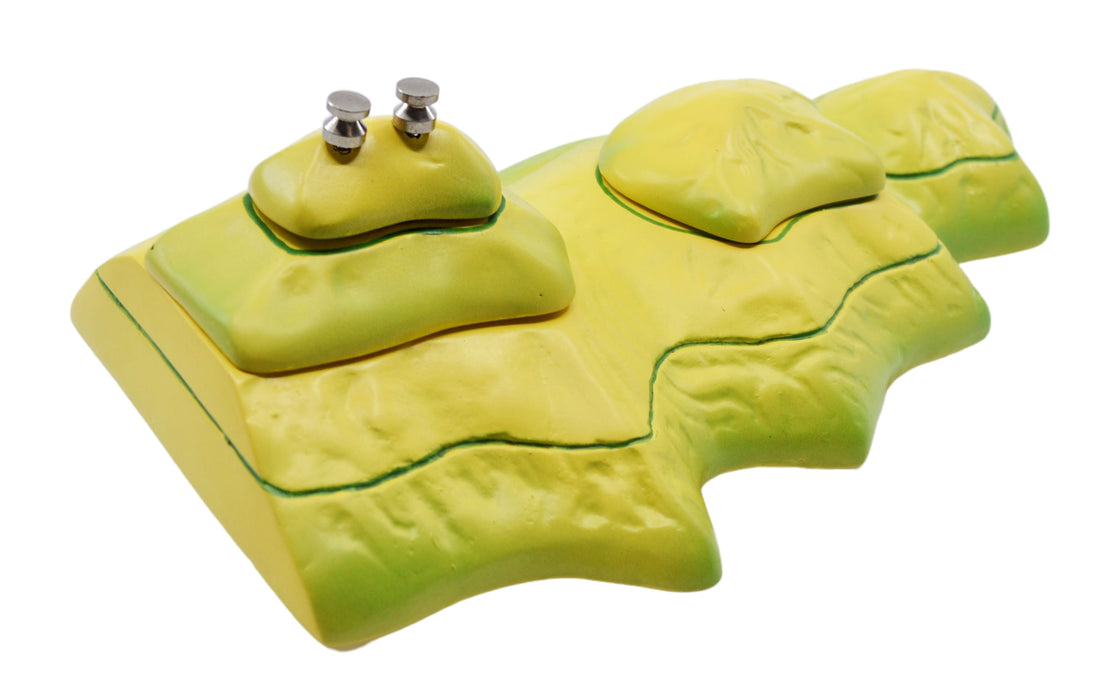 Contour Map Demonstration Model, 20 Inch - Separates into Multiple Parts - Mounted - Great for Geographical Study - Eisco Labs