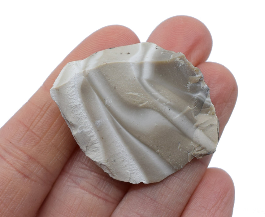 Raw Chert Mineral Specimen, 1" - Geologist Selected Samples - Eisco Labs