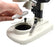 Stereoscopic Microscope, 45 Degree Binocular Head, Fitted with Adjustable Pillar, Cordless - Eisco Labs