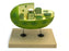 Eisco Labs Chloroplast Model with cut away section to reveal internal structures; Chloroplast 10" X 6"