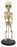 Infant Fetus Skeleton Model, Mini Size - Single Skull - Rod Mounted - Incredible Detail for Anatomical Study - Eisco Labs