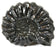 4cm Mesozoic Ammonite Fossil Replica, Perisphinctes
