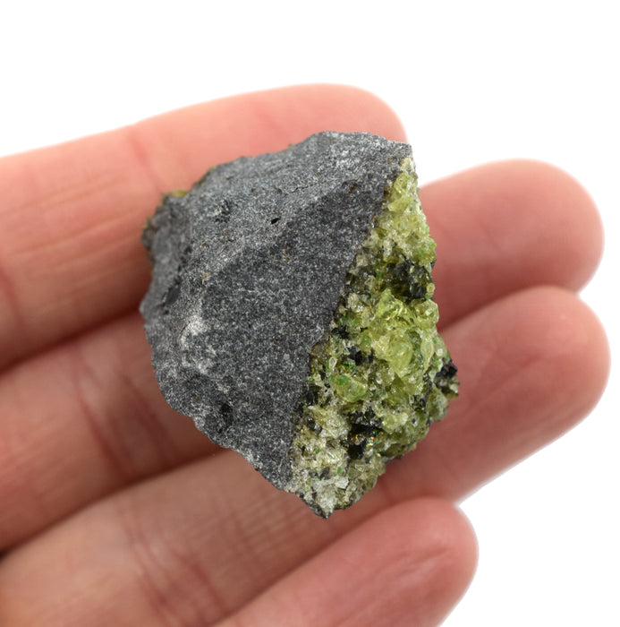 12PK Raw Olivine, Mineral Specimens - Approx. 1" - Geologist Selected & Hand Processed - Great for Science Classrooms - Class Pack - Eisco Labs