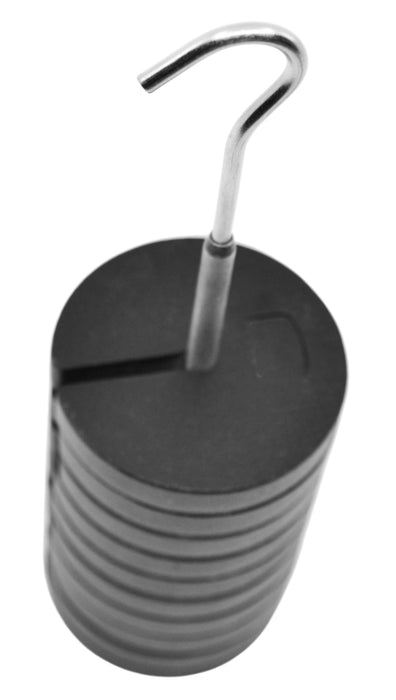 10 Piece Slotted Mass Set, 1000g - Zinc Casted - Includes 9 weights (100g  each), one hanger (100g) - Eisco Labs