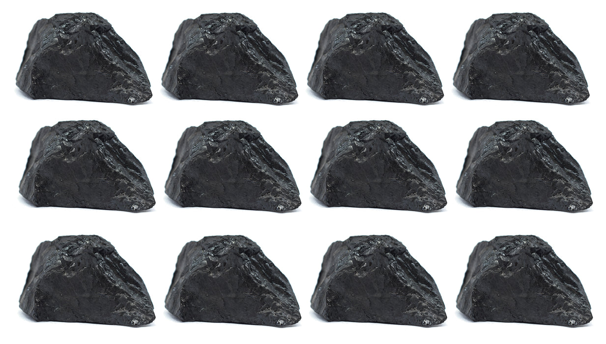 12PK Bituminous Coal, Rock Specimen, 1" - Geologist Selected - Eisco Labs