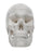 Eisco Full-Size Adult Human Skull Model with Removable Skull Cap, 3 Parts