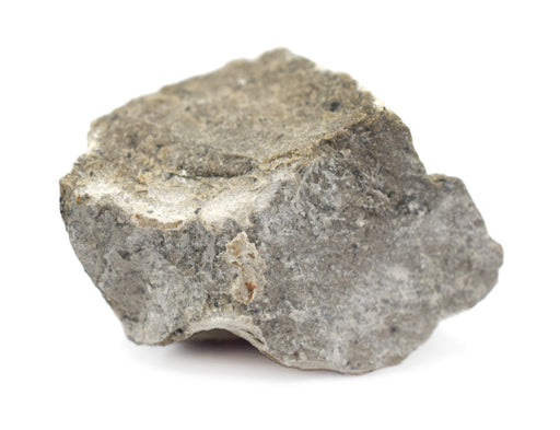 Raw Gray Limestone Sedimentary Rock Specimen, 1" - Geologist Selected Samples - Eisco Labs